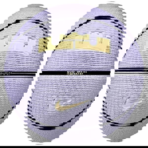 Nike Lebron James Playground 2.0 Basketball - Purple