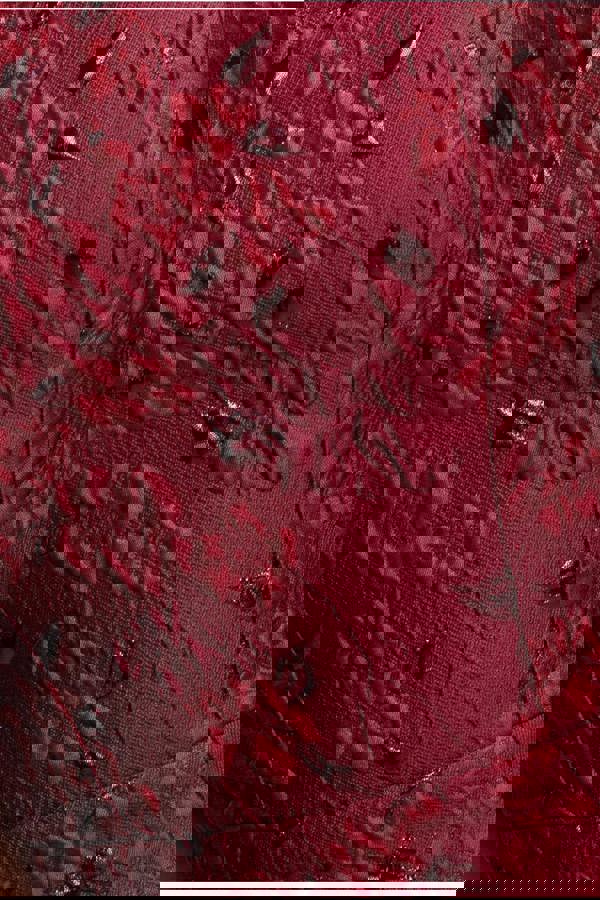 Lace Up Jacquard Mini Dress With Organza Wings - Burgundy Red DR4781