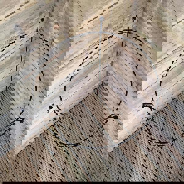 Samuel Alexander 2 Pack of Tom Chambers Cottage Heavy Duty Black Metal Steel Herbaceous Garden Plant Support Ring Large 80cm x 45cm