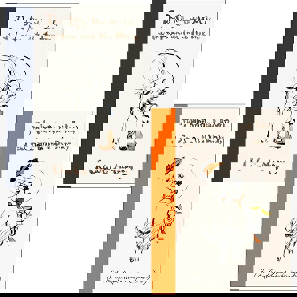 The Boy, The Mole, The Fox and The Horse By Charlie Mackesy and The Woman, the Mink, the Cod and the Donkey By Margerie Swash 2 Books Collection Set