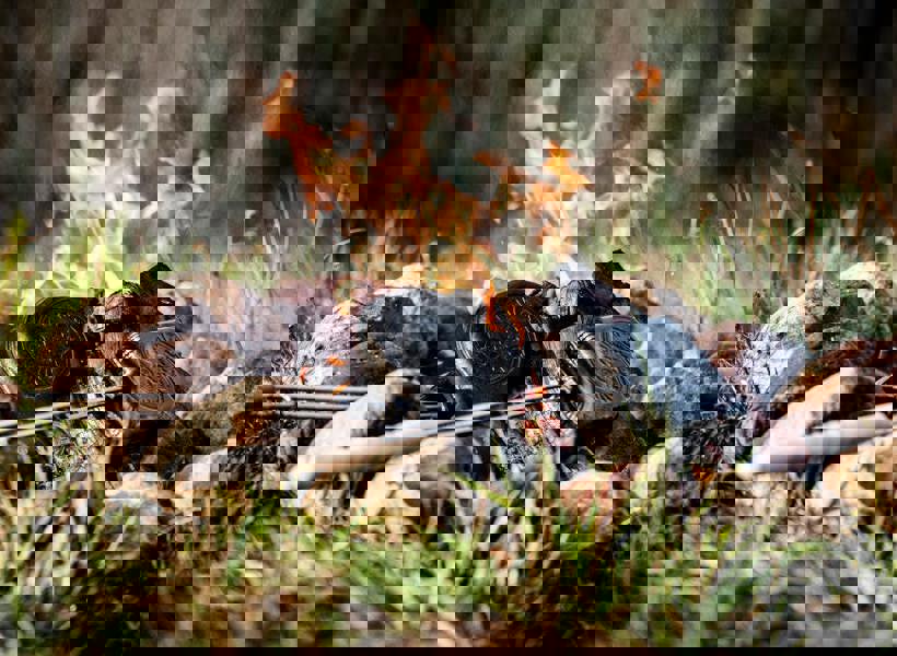 Petromax Cast Iron Sandwich Iron