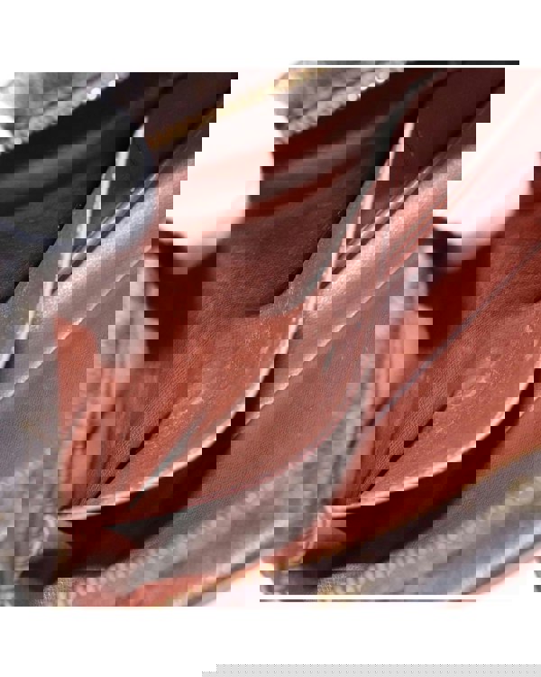197258918.jpg