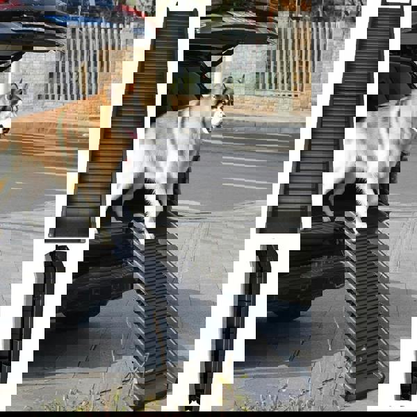 Gr8 Garden Dog Pet Ramp Plastic Folding Lightweight Strong Bi Fold Travel Car Van Portable