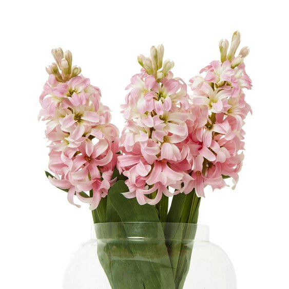 Wyld Haus Set of 3 Artificial Flowers Pink Hyacinth Stems