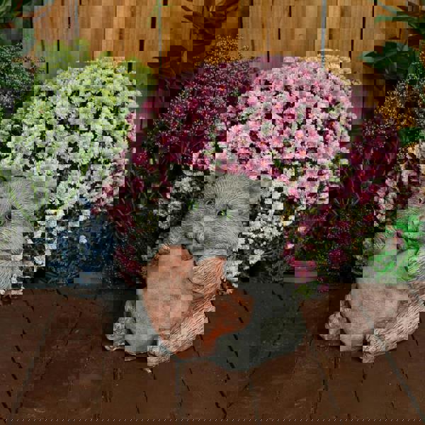 Cat with a Big Heart Stone Cast Garden Cat Ornament