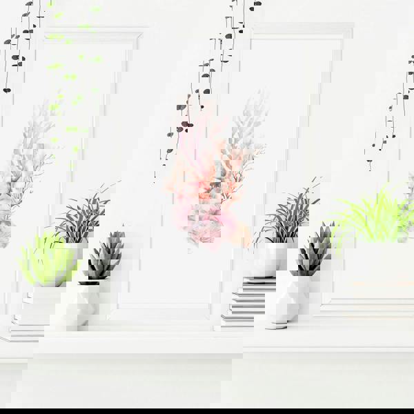 Framed Pictures For The Bathroom | Set of 3 Seashells Wall art Prints