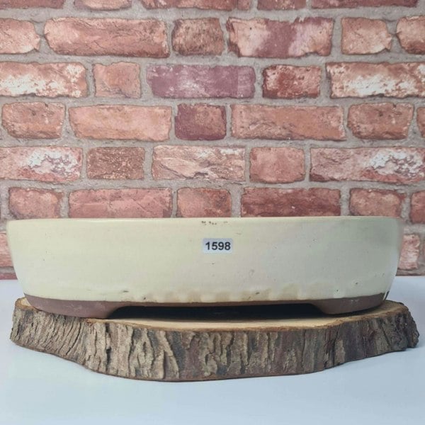 38cm Glazed Bonsai Pot | Oval | 38cm x 31cm x 8cm | White - Yorkshire Bonsai