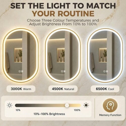 HOMCOM LED Bathroom Mirror, 100x70cm Oval Bathroom Mirror, Gold Tone