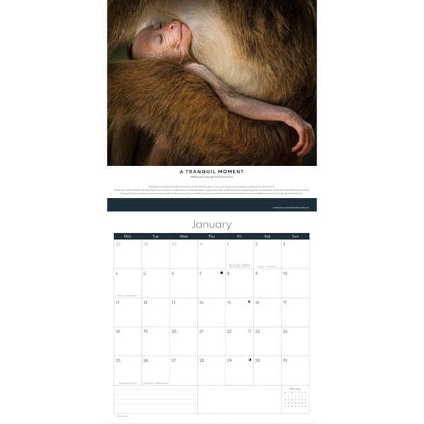 Wildlife Photographer Of The Year Calendar 2027, Wall Calendars, Month To View, Animals, Gift