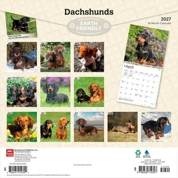 Dachshunds Calendar 2027, Wall Calendars, Month To View, Dogs, Gift