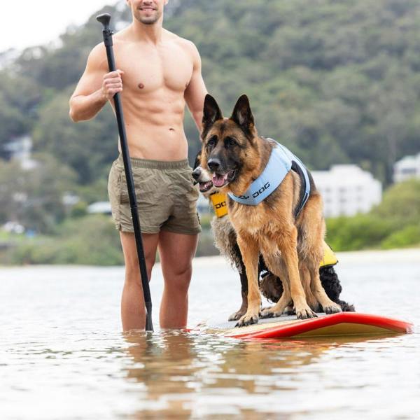 EzyDog DFD X2 Boost Dog Life Jacket in Blue