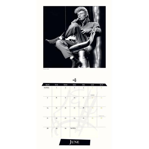 David Bowie Record Collector's Edition Calendar 2027, Wall Calendars, Month To View, Entertainment, Gift