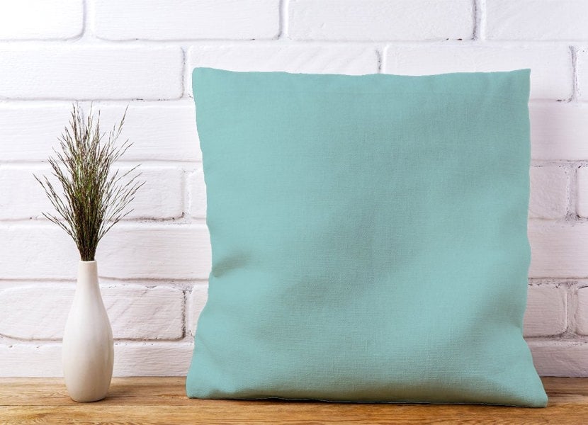 Warren Reed Robin Egg Blue Cushions