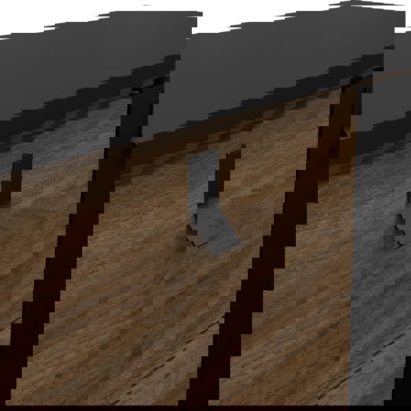 Furniture To Go Ry Sideboard 2 doors + 2 drawers Matt Black Walnut