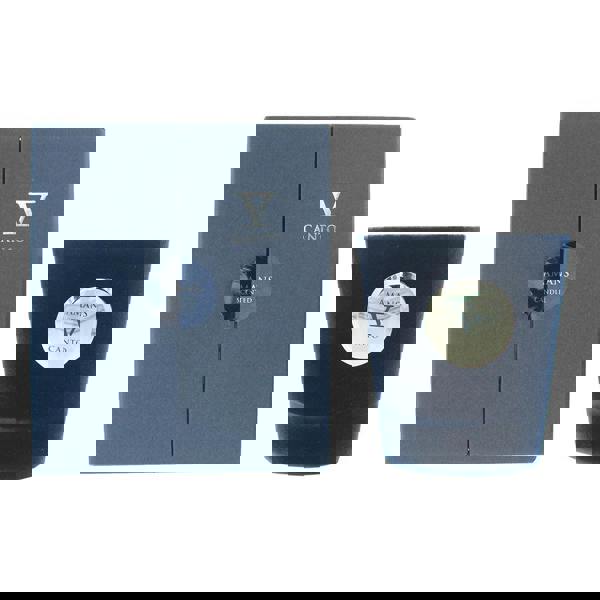 V Canto Amans Flocked Glass Candle 250ml