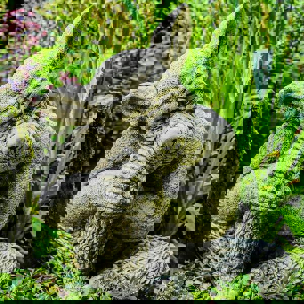 Solid cast Stone Dog Gargoyle In Sleepy Pose