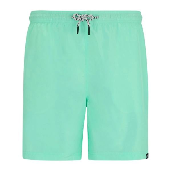 Regatta Mens Mackleyna Swim Shorts - Ice Green - 