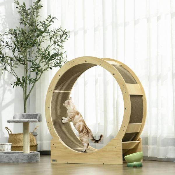 Cat Wheel
