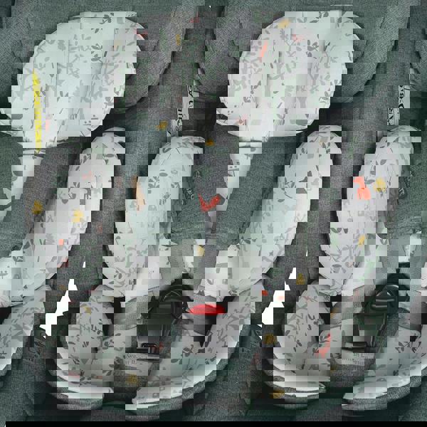 Acorn All Stages i-Size 360 Car Seat Meadow - Carseat - Cosatto Store