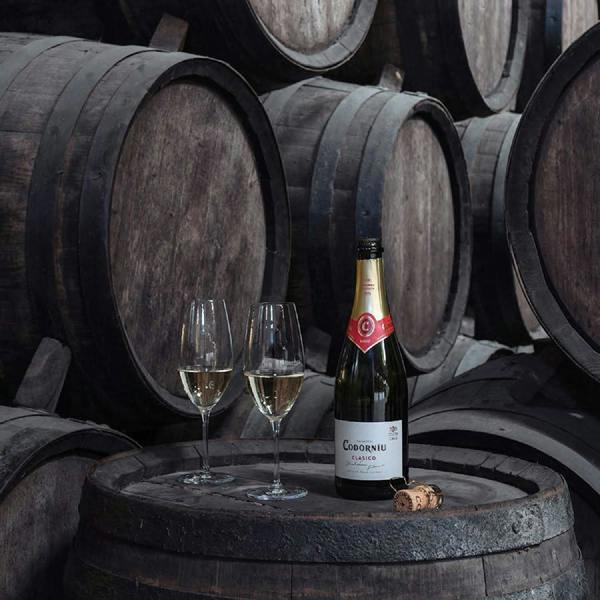 Codorníu Clásico Brut Organic Cava 75cl
