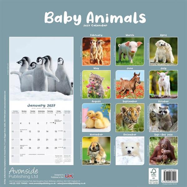 Baby Animals Calendar 2027, Wall Calendars, Month To View, Animals, Gift