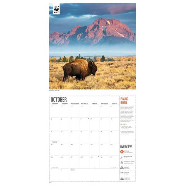 WWF, Amazing Wildlife Calendar 2027, Wall Calendars, Month To View, Animals, Gift