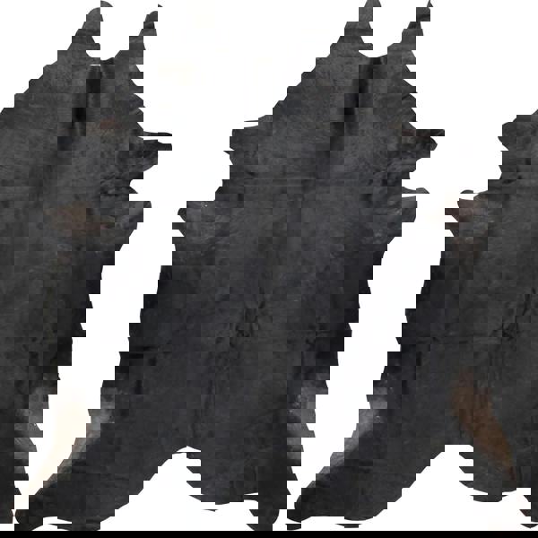 Eastern Counties Leather Exotic Cowhide Leather Rug - Black/Brown