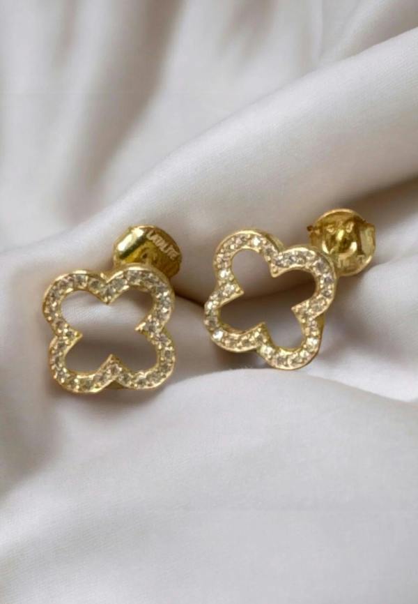 Still life of the earrings.