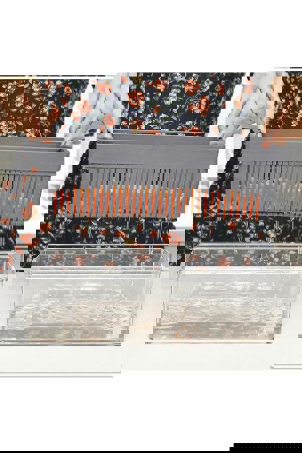 Living and Home 14-in-1 Kitchen Multifunctional Vegetable Food Slicer Chopper Cutter Grater