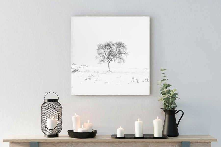 black and white tree wall art on canvas
