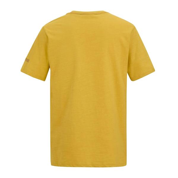 Regatta Mens Rendro T-Shirt - Ceylon Yellow - 