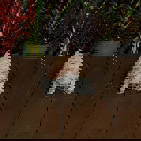 Small Stone Cast Tortoise Garden Ornament 