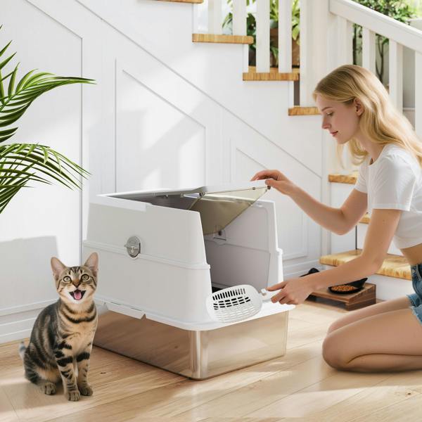 Cat Litter Box