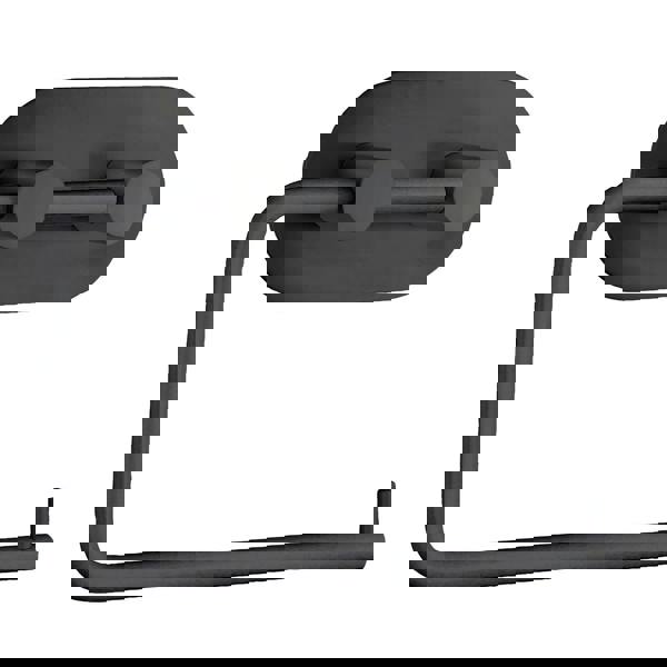 Black stainless steel toilet roll holder