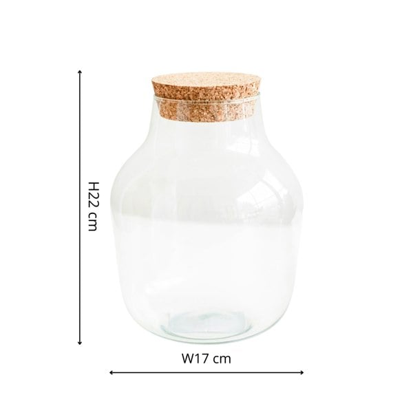 Ivyline Angluar Glass Small Terrarium DIY Kit