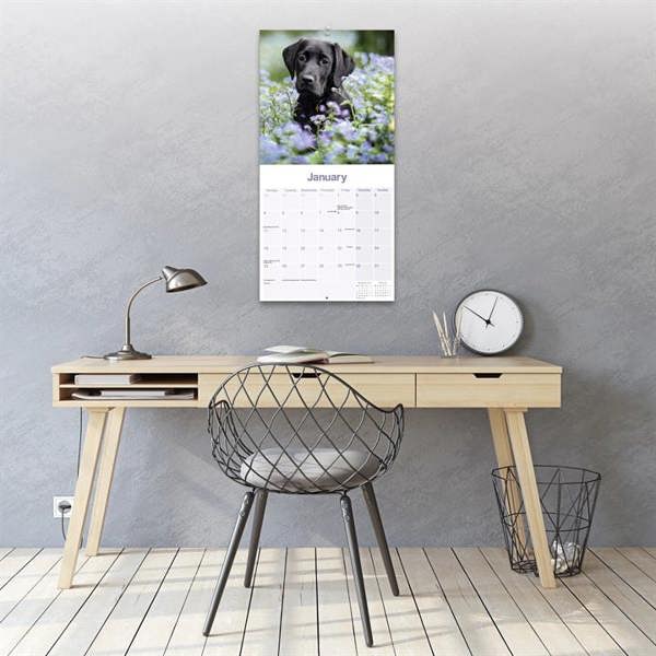 Black Labrador Retriever Calendar 2027, Wall Calendars, Month To View, Dogs, Gift