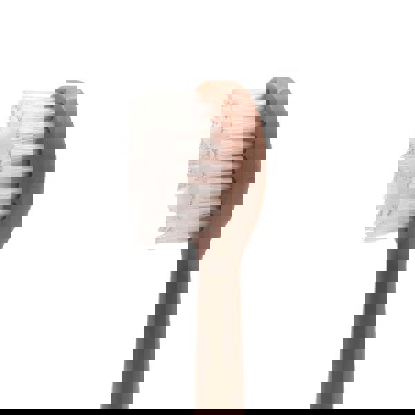 Spotlight Oral Care Sonic Head Replacements