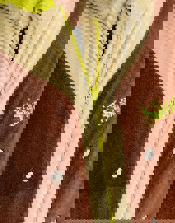 Shrek Unisex Beige Character Onesie