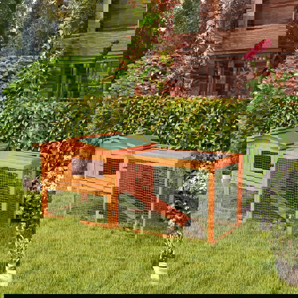 D51-061V01