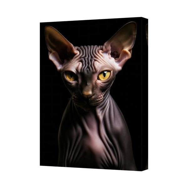 Benjamin Tate Design Canvas Print Sphynx Cat Portrait Black Background Wall Art