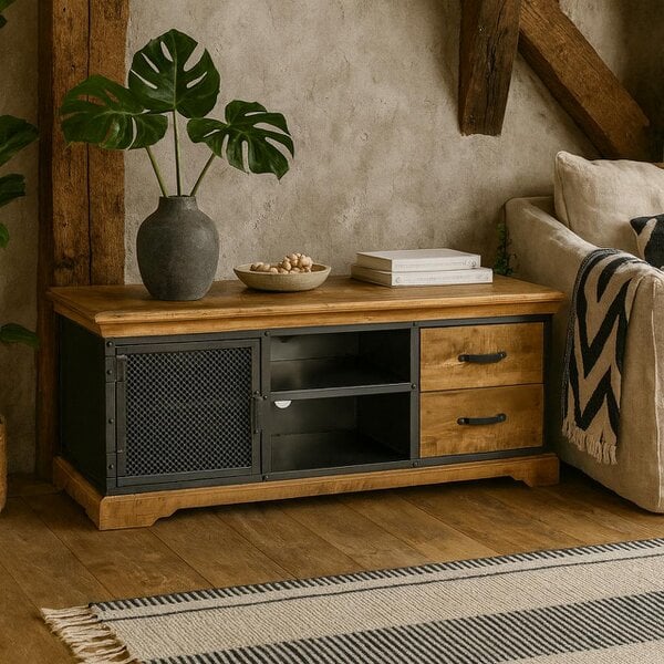 Wyld Haus Albatross Mango Wood and Metal TV Media Unit 1 Door 2 Drawers