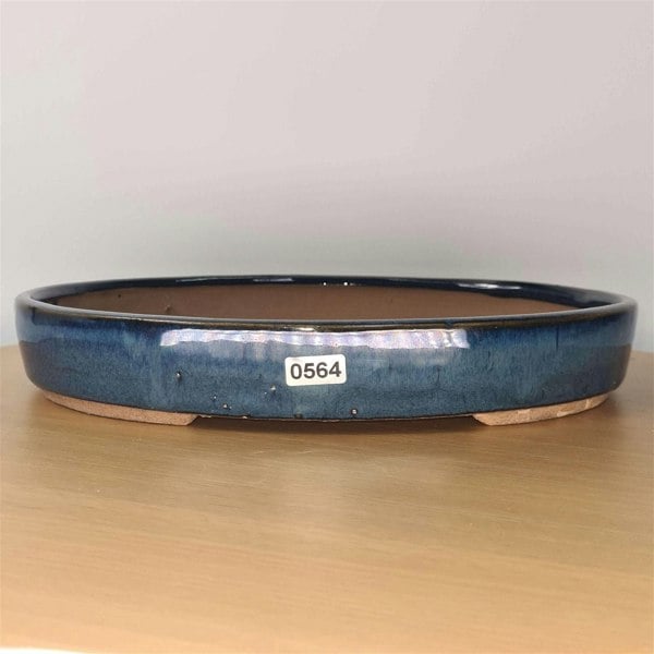 32cm Glazed Bonsai Pot | Oval | 32cm x 22cm x 4.5cm | Blue - Yorkshire Bonsai