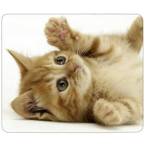 Mouse mat featuring a playful orange tabby kitten lying on its back with white background.