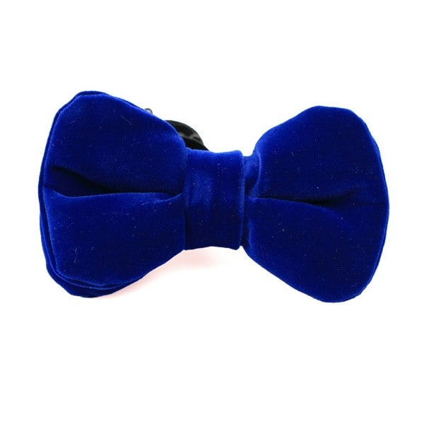 David WeJ Velvet Pretied Bow Tie - Royal Blue