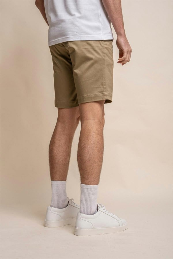 Dakota stone chino shorts back