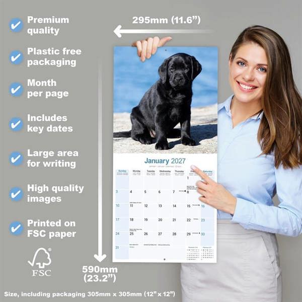 Black Labrador Retriever Puppies Calendar 2027, Wall Calendars, Month To View, Dogs, Gift