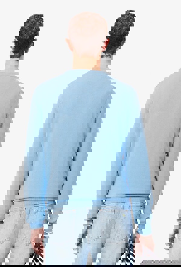 Lacoste Monochrome Crew Neck Cotton Sweater - Blue