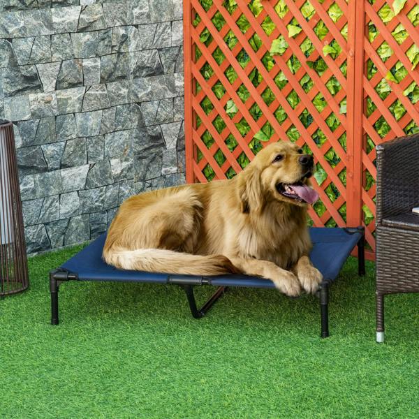 Elevated Dog Bed