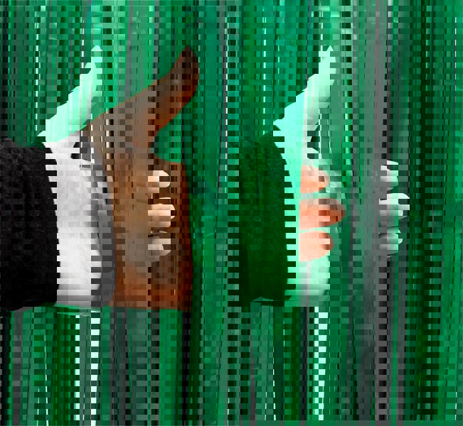 Cheetah Metallic Tinsel Curtain, 2M x 1M Green