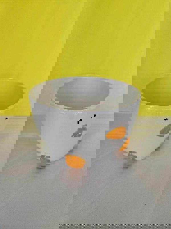 Quackers & Oats – Duck Cereal & Soup Bowl